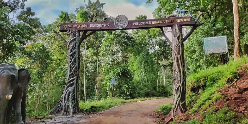 Bhadra Wildlife Sanctuary, Chikkamagaluru (Chikmagalur), Karnataka - Vushii.com